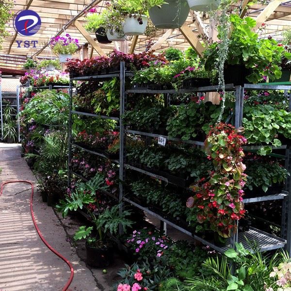 Steel Dutch Flower Carts