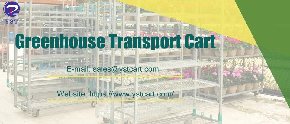 Say Goodbye to Heavy Lifting with Greenhouse Transport Carts 2 Say Goodbye to Heavy Lifting with Greenhouse Transport Carts 2
