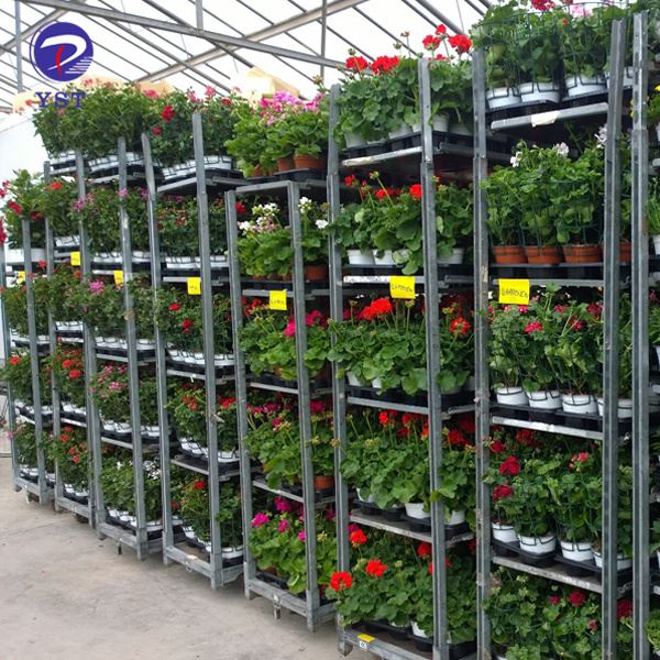 Greenhouse Flower Trolley