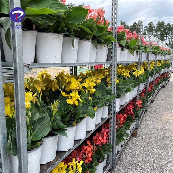 Nursery Flower Racks