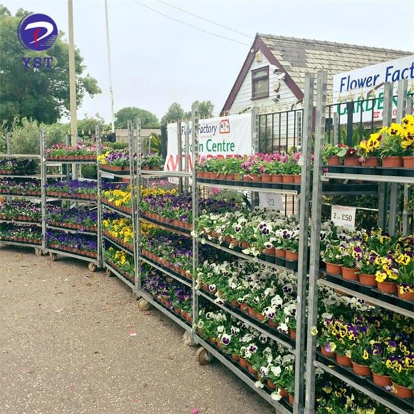 Plant Nursery Shelves Trolleys