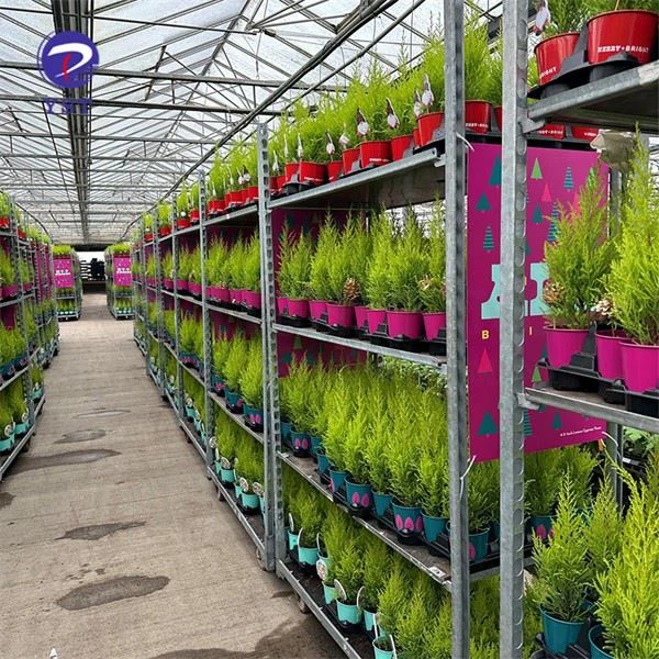 Plant Transportation Carts