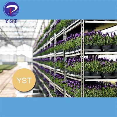 Flower Farming 101: Πώς τα Δανέζικα καρότσια μπορούν να βοηθήσουν στην αύξηση...