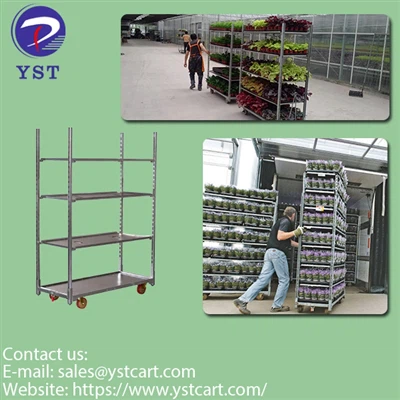 Γιατί τα δανικά καροτσάκια είναι απαραίτητα για τη μεταφορά φυτών