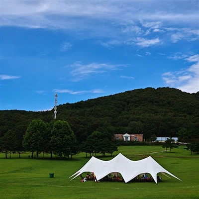 Δημιουργία ομόλογων πέρα ​​από το γραφείο: Η εταιρεία μας κάμπινγκ της εταιρε...