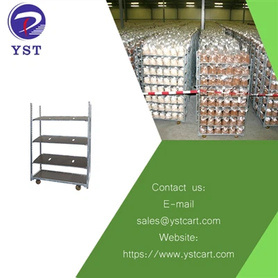 Δανικά καροτσάκια: Το κλειδί για την επιτυχή εμπορική καλλιέργεια μανιταριών